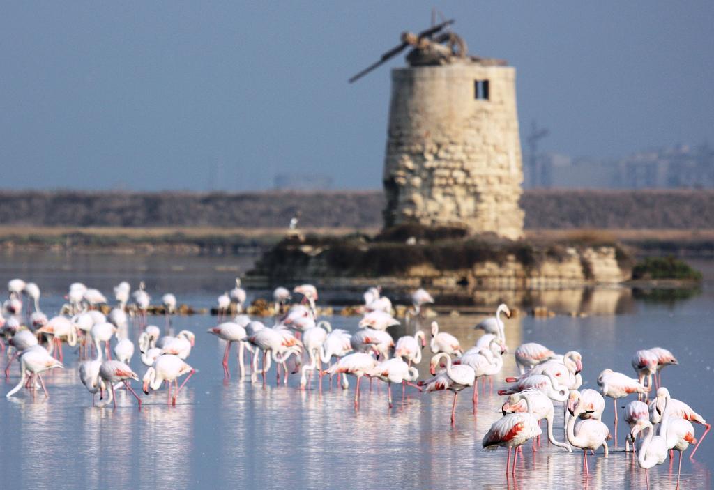 Appartamenti Trapani Mare エクステリア 写真